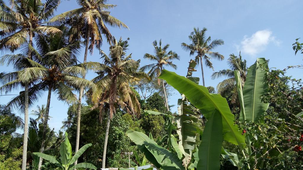 Uma Loris Ubud المظهر الخارجي الصورة